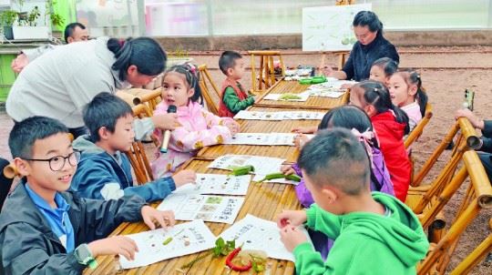 金秋赶集乐翻天！南岸供销清油农社解锁乡村振兴“新玩法”-重庆市南岸区人民政府网