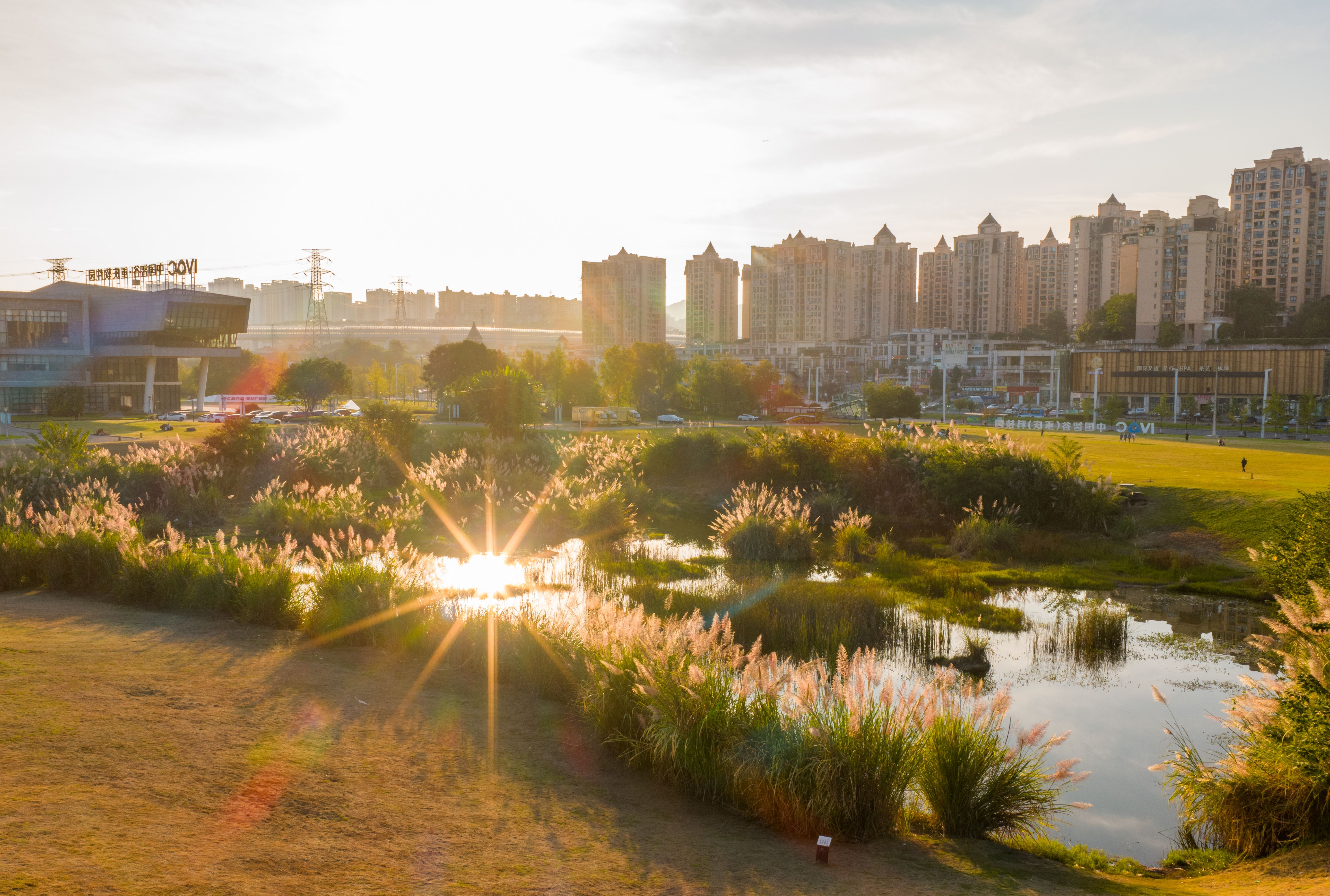 金秋十月邀您来赴一场“秋色盛宴”-重庆市南岸区人民政府网