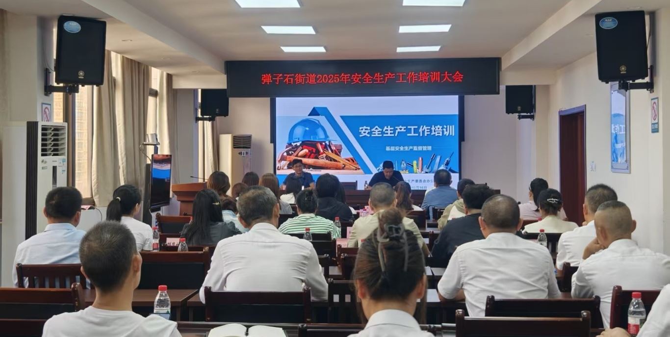 弹子石街道召开2025年度安全生产工作培训大会​​-重庆市南岸区人民政府网