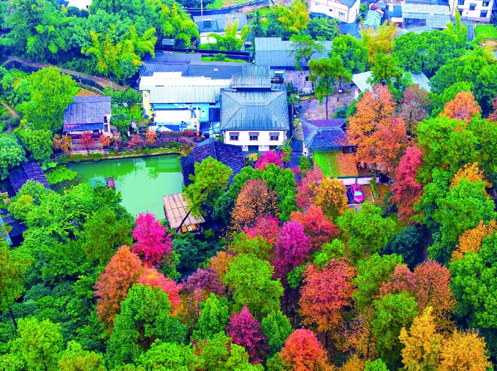 初冬调色盘“泼洒”南山-重庆市南岸区人民政府网