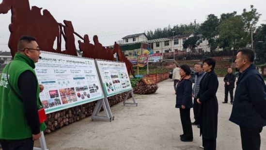 京津沪渝冀“四市一省”供销合作社联席会议参会代表调研考察“南岸供销·清油农社”-重庆市南岸区人民政府网